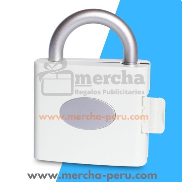 Set Herramientas en forma de Candado - Imagen 2